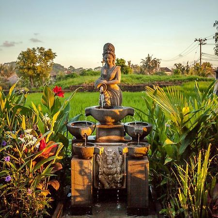 Kama Bisma Cottage Ubud Zewnętrze zdjęcie