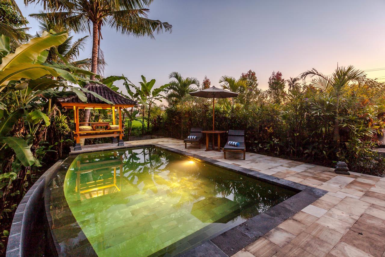 Kama Bisma Cottage Ubud Zewnętrze zdjęcie