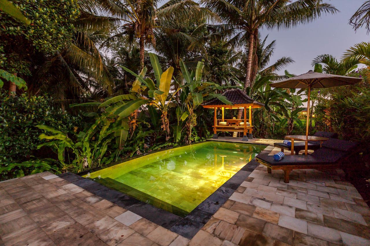 Kama Bisma Cottage Ubud Zewnętrze zdjęcie