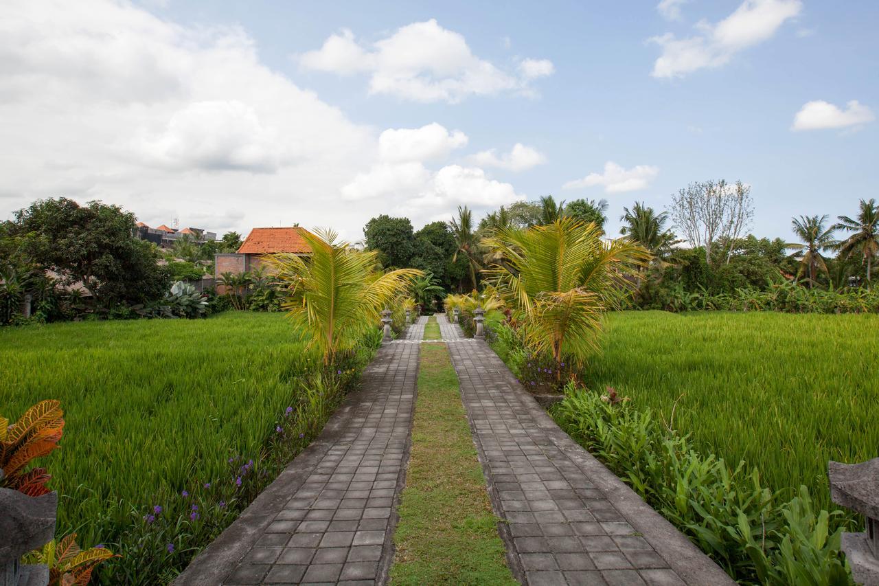 Kama Bisma Cottage Ubud Zewnętrze zdjęcie