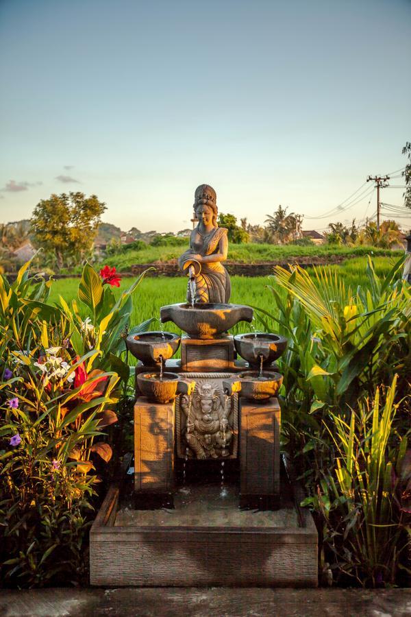 Kama Bisma Cottage Ubud Zewnętrze zdjęcie