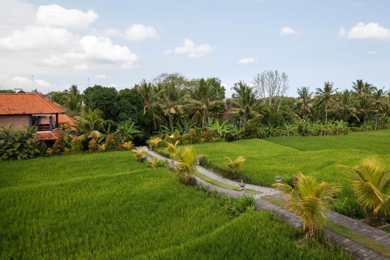 Kama Bisma Cottage Ubud Zewnętrze zdjęcie