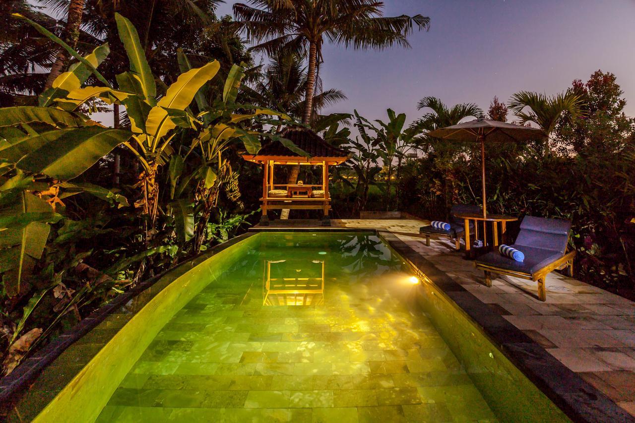 Kama Bisma Cottage Ubud Zewnętrze zdjęcie